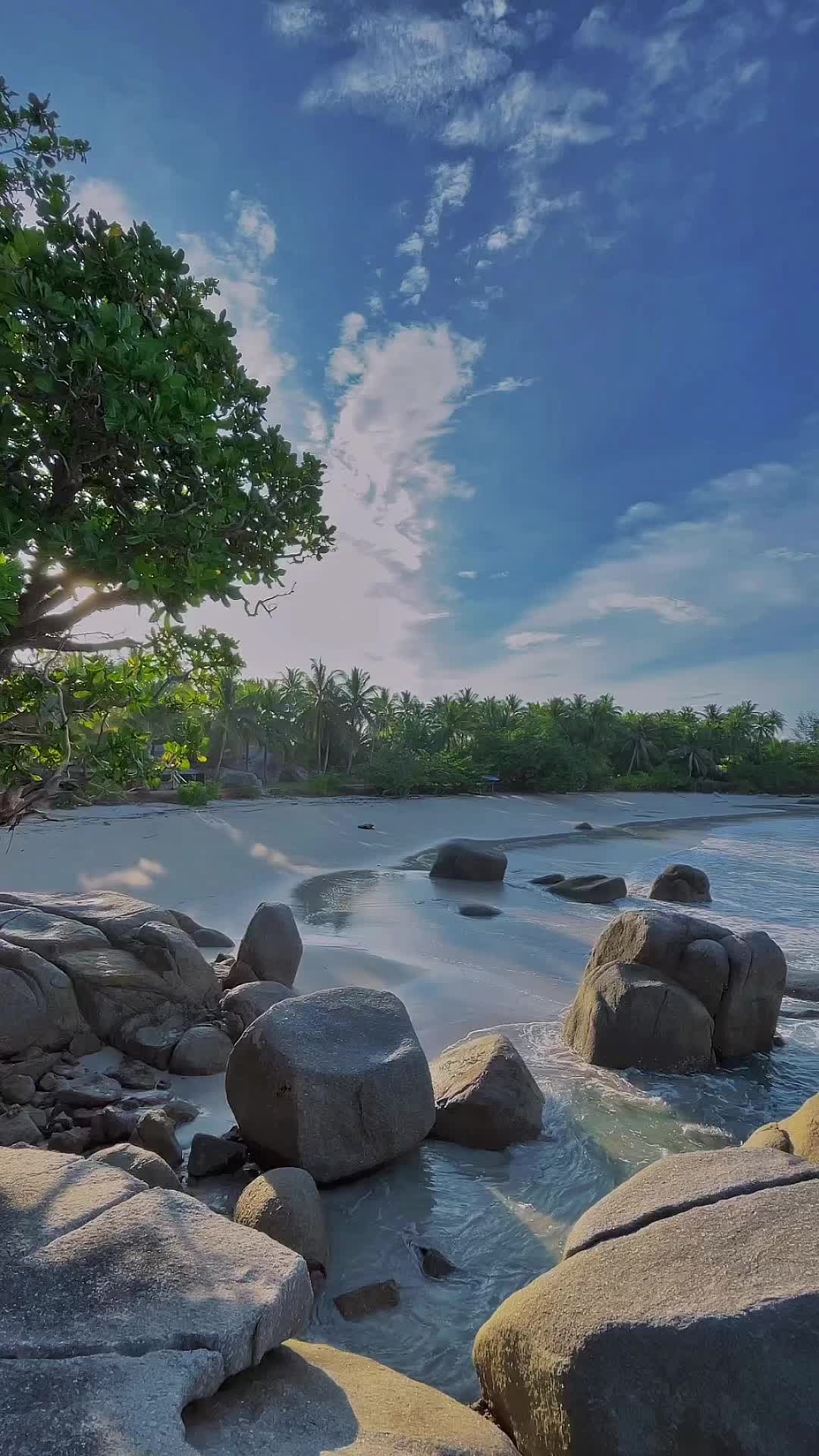 @irvanwijaya